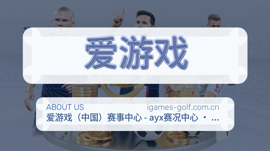 爱游戏常用帮助服务说明